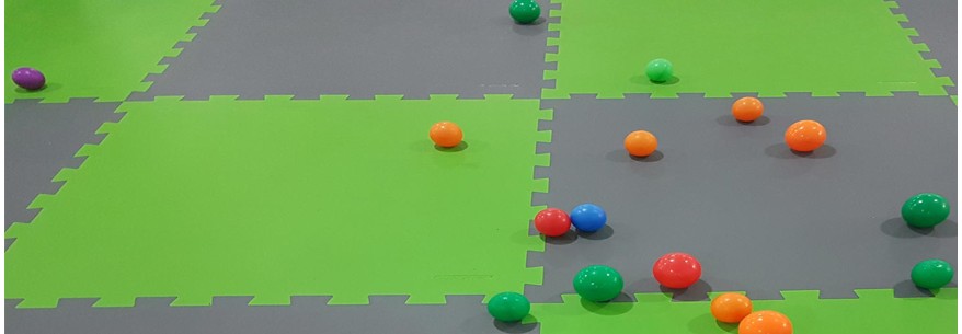 Sportec MotionFlex puzzle